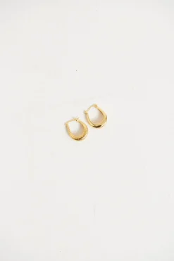 Accessories>Angels Whisper Oval Coil Gold Plated Earrings